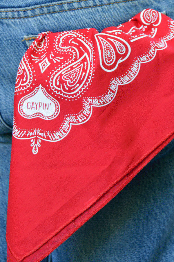 Hankies_1024x.gif