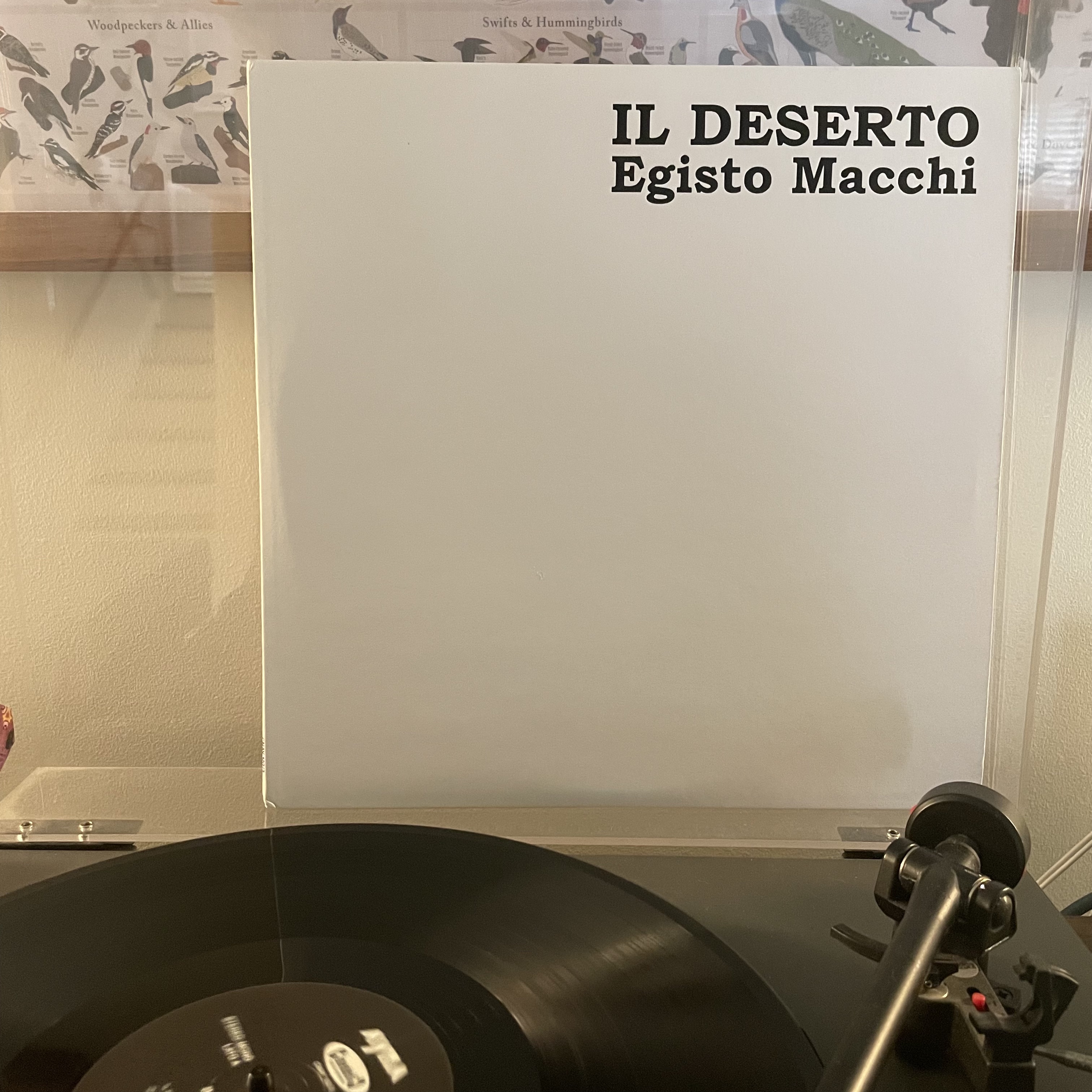 Macchi.jpg