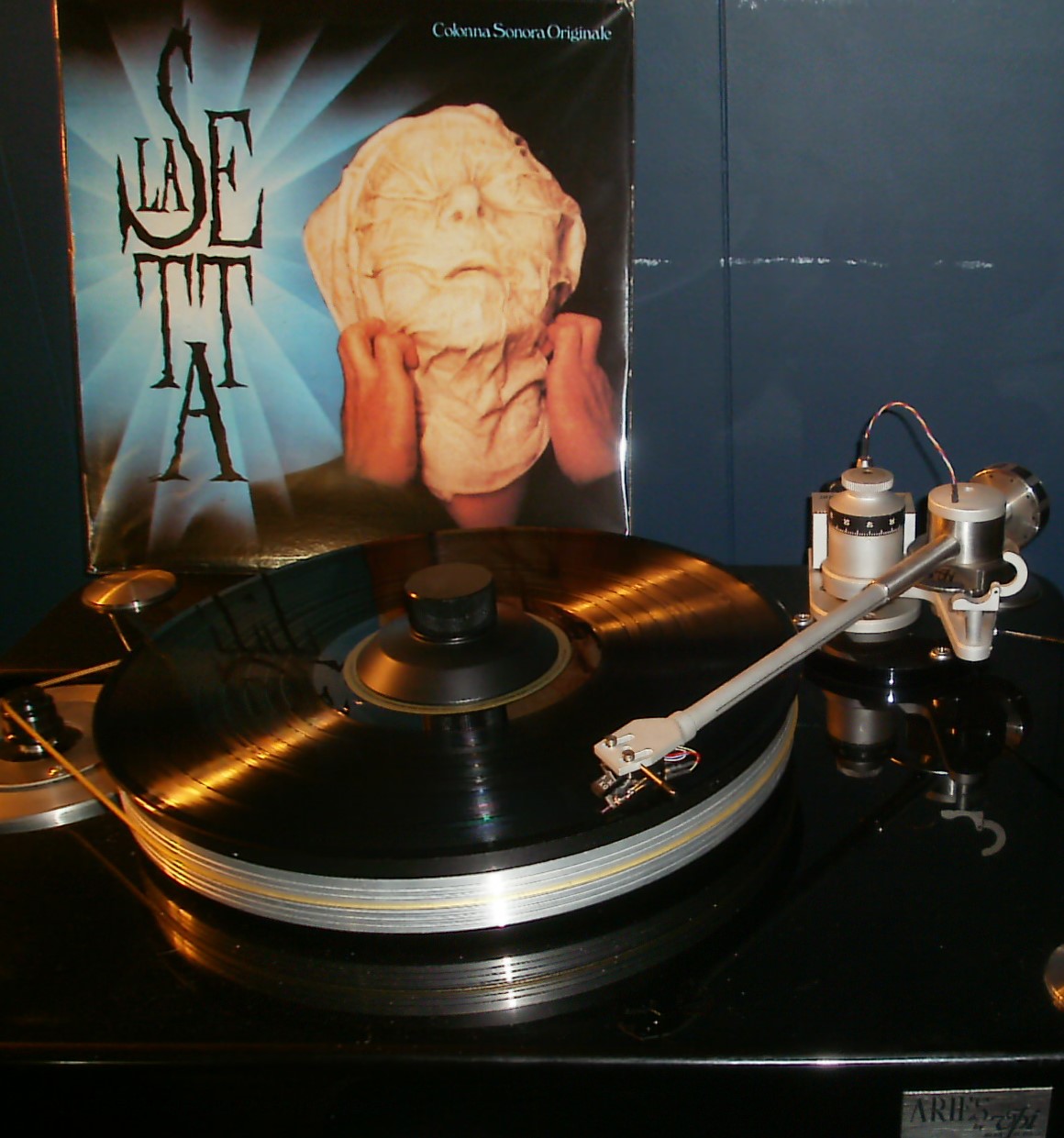PB023152.JPG