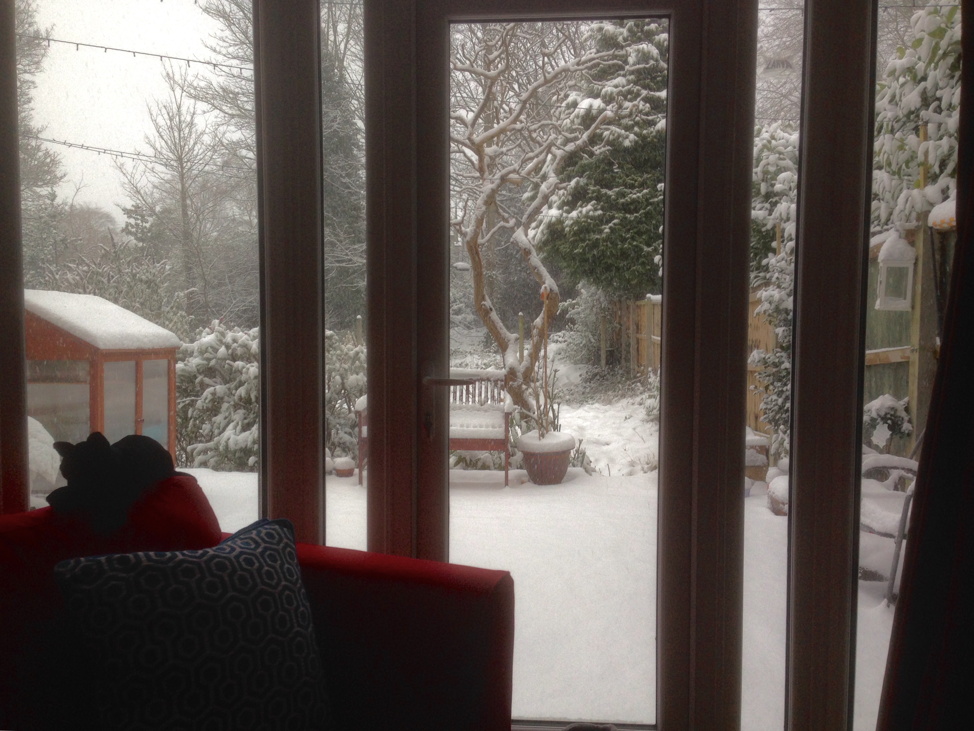 FullSizeRender.jpg